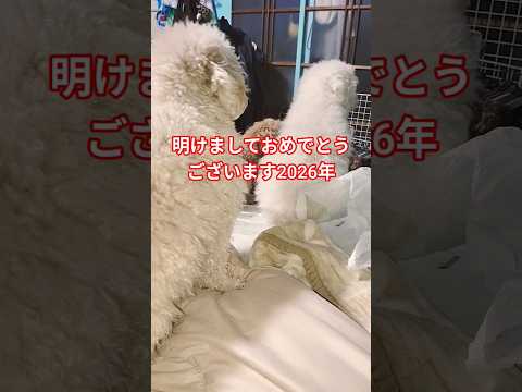 明けましておめでとうございます2026年 サムネイル