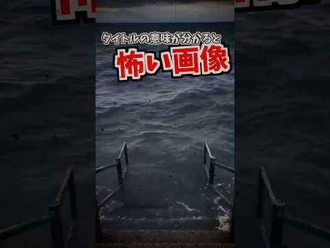 上下左右コンプリートしてて草 サムネイル