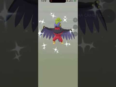 ✨Shiny Hawlucha HATCHED In Pokemon Go!✨ shorts pokemon サムネイル