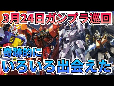 ここ最近で一番充実した巡回でした！　ガンプラ巡回　再販 　ガンプラ再販 サムネイル