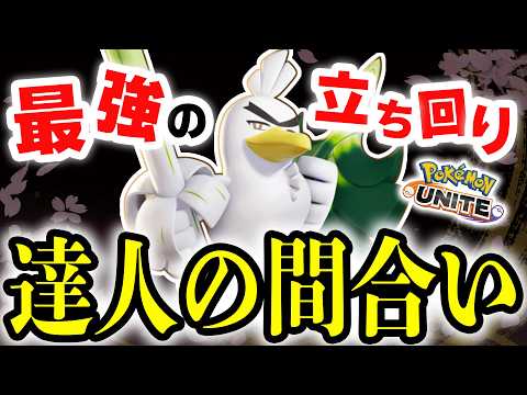 【ネギガナイト】達人の間合いで一方的に暴れまくる鳥が止まらないんですけどww【ポケモンユナイト】
