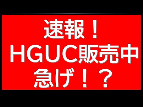 速報　突如あのHGUCが販売開始！現在購入可能です！SEEDFREEDOMガンプラも復活したりしなかったり・・ サムネイル