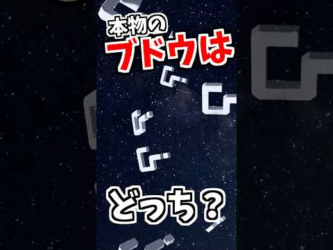 ん？ サムネイル