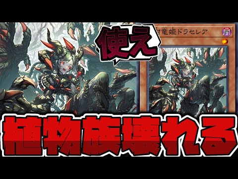 【遊戯王】 植物サーキュラー爆誕!? いきなり壊れるな！ 『血樹竜姫ドラセレア』 【ゆっくり解説】 サムネイル