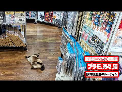 広島県三次市で営業している田舎の模型屋ルーティン【94】 サムネイル