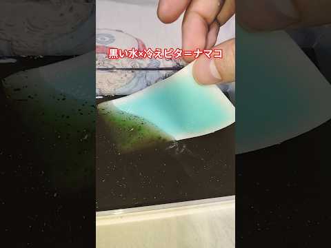 炭水×冷えピタ＝ナマコshorts カプサイ爺実験冷えピタshots面白 サムネイル