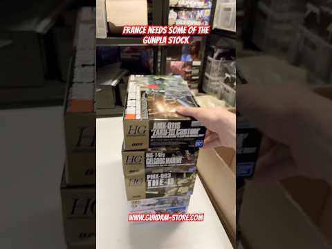 France needs some of the Gunpla stock gundam gunpla bandai… サムネイル