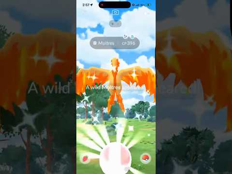 ✨SHINY GALARIAN MOLTRES CAUGHT IN POKEMON GO!!! FINALLY!!!✨… サムネイル