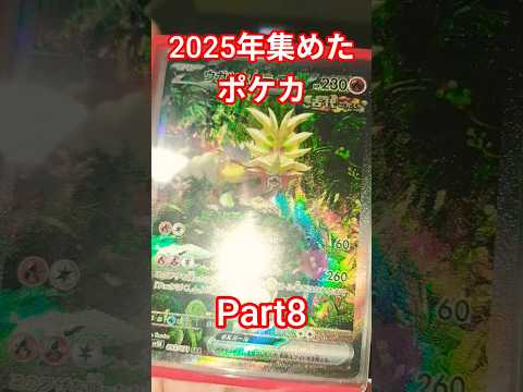 2025年集めたポケカ ポケカ ポケカ再販最新情報 ポケモンカード おれポケ ポケモン チャンネル登録お願いします ポ…