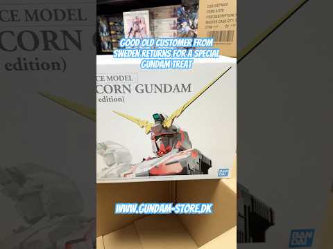 Good old customer from Sweden returns for a special gundam…