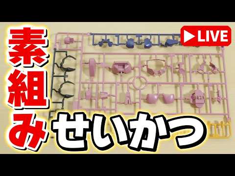 【素組みライブ】有識者が多くて正体を隠すのが難しい…、ということで今夜はコレつくりますｗ サムネイル