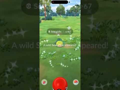 OH NO… MEME CP NUMBER SHINY POKEMON IN POKEMON GO… shorts p… サムネイル