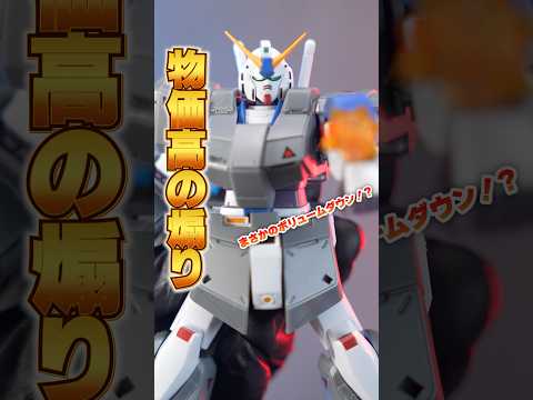 ボリューム落ちてる上に値上げ？【ROBOT魂＜SIDE MS＞ ガンダムNT-1＆チョバム・アーマー ver. A.N… サムネイル