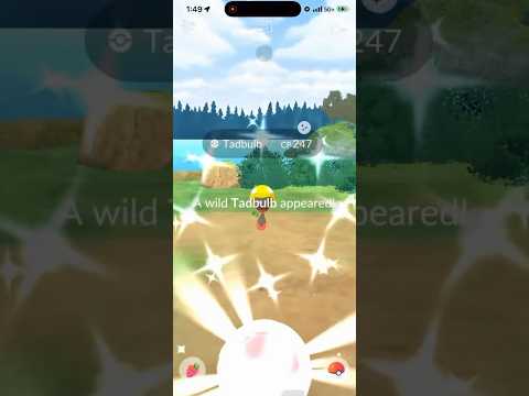 ✨Shiny Tadbulb CAUGHT In Pokemon Go!✨ shorts pokemon