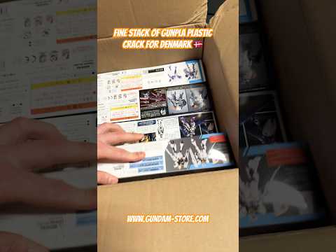 Fine stack of Gunpla plastic crack for Denmark 🇩🇰 gundam gu… サムネイル