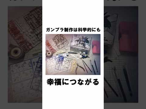 ガンプラ制作は幸福に繋がるという雑学 shorts shortvideo 雑学 ガンプラ 豆知識  ハイグレード  シ… サムネイル