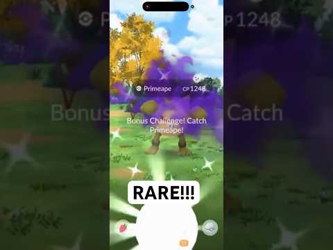 ✨*RARE* SHINY SHADOW PRIMEAPE CAUGHT IN POKEMON GO!!!✨ shor… サムネイル