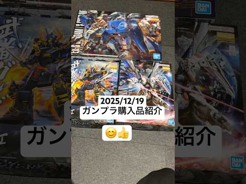 2025/12/19 ガンプラ購入品紹介！MG Ex-Sガンダム/SガンダムにMG武者ガンダムMk-ⅡにMGフリーダム…