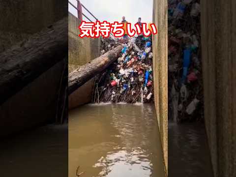 気持ちいい瞬間ゴミshorts サムネイル