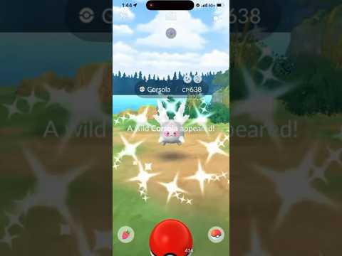 ✨NEW Shiny Costume Corsola CAUGHT in Pokemon Go!✨ shorts po… サムネイル