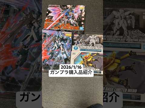 2026/1/16 ガンプラ購入品紹介！MGデスティニーガンダムエクストリームブラスト（スペシャルバージョン）にMGリ…