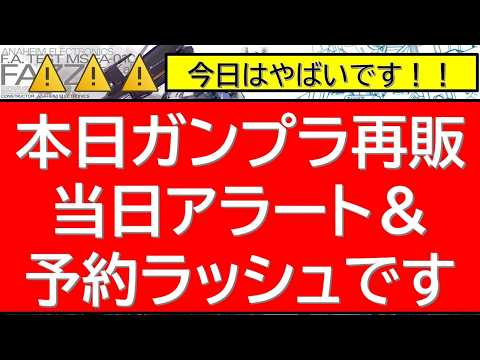 【朝から情報特盛】本日のガンプラ再販が熱い当日アラート！更にプレバン予約祭！ガンプラ・完成品・限定品の販売開始ラッシュ… サムネイル