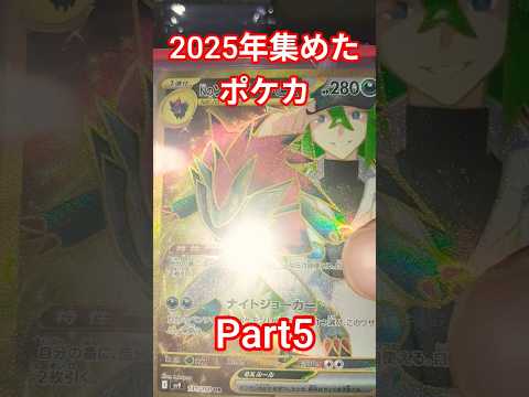 2025年集めたポケカ ポケカ ポケカ再販最新情報 ポケモンカード おれポケ ポケモン チャンネル登録お願いします ポ…