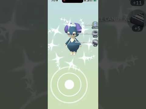 ✨I Hatched THIS SHINY Pokemon in Pokemon Go!✨ shorts pokemon サムネイル