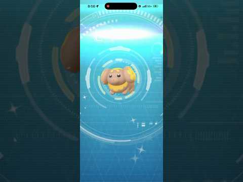 ✨NEW Shiny Fidough CAUGHT In Pokemon Go!✨ shorts pokemon
