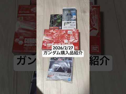 2026/2/27 ガンダム購入品紹介！PG UNLEASHED νガンダム用LEDユニットにHGアメイジングレッドウ… サムネイル
