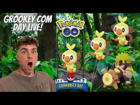 ✨Grookey Community Day LIVE In Pokemon Go!✨