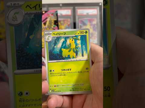 pokemon ポケモンカード　パック開封　メガシンフォニア　　pokemon ポケモンカード25周年 ポケカ ポケモ… サムネイル