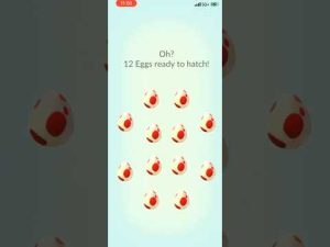 ポケモンGOで卵12,000個を孵化した結果を公開！出現ポケモンの詳細解説 – ゲーマーのおもちゃ箱